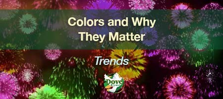 dove-direct-blog-colors-and-why-they-matter