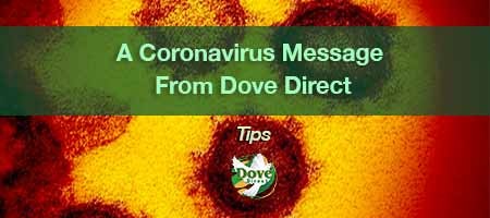 dove-direct-blog-A-Coronavirus-Message-From-Dove-Direct