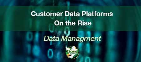 dove-direct-blog-Customer-Data-Platforms-On-the-Rise