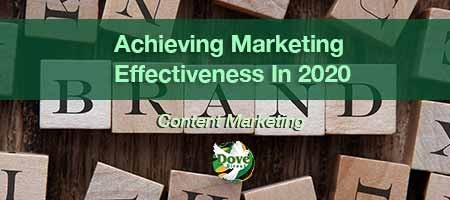dove-direct-blog-Achieving-Marketing-Effectiveness-In-2020