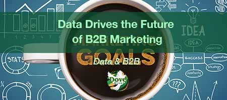 dove-direct-blog-Data-Drives-the-Future-of-B2B-Marketing