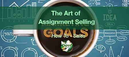 dove-direct-blog-The-Art-of-Assignment-Selling