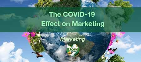 dove-direct-blog-The-COVID-19-Effect-on-Marketing