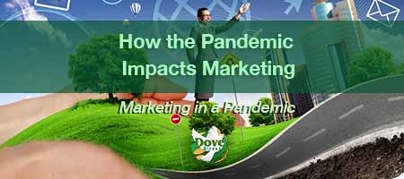 dove-direct-blog-How-the-Pandemic-Impacts-Marketing