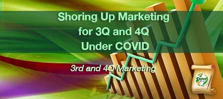 dove-direct-blog-Shoring-Up-Marketing-for-3Q-and-4Q-Under-COVID