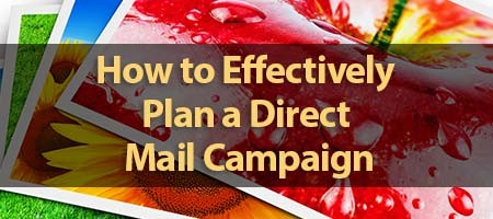 dove-direct-blog-How-to-Effectively-Plan-a-Direct-Mail-Campaign